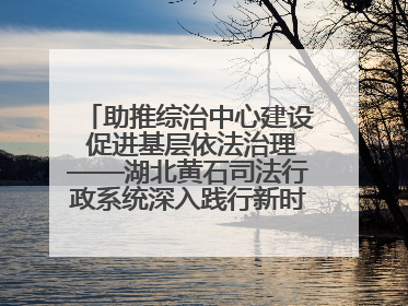 助推综治中心建设 促进基层依法治理——湖北黄石司法行政系统深入践行新时代枫桥经验