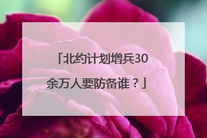 北约计划增兵30余万人要防备谁？