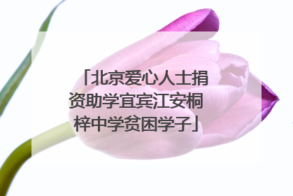 北京爱心人士捐资助学宜宾江安桐梓中学贫困学子