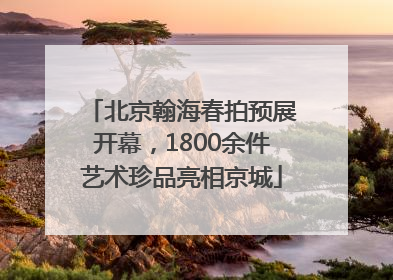 北京翰海春拍预展开幕，1800余件艺术珍品亮相京城