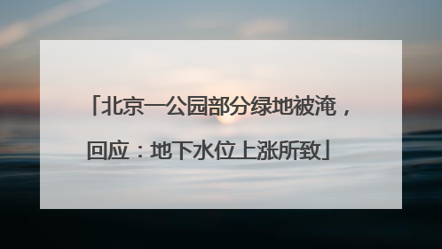 北京一公园部分绿地被淹，回应：地下水位上涨所致