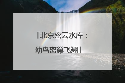 北京密云水库：幼鸟离巢飞翔