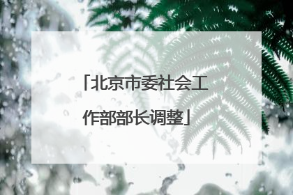 北京市委社会工作部部长调整