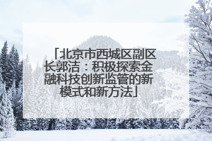 北京市西城区副区长郭洁：积极探索金融科技创新监管的新模式和新方法