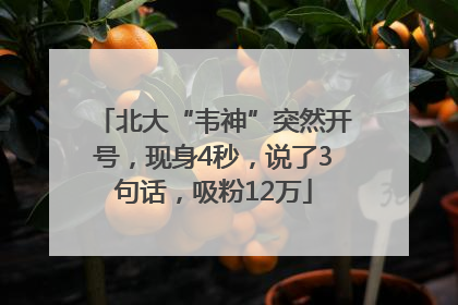 北大“韦神”突然开号，现身4秒，说了3句话，吸粉12万