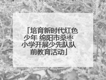 培育新时代红色少年 绵阳市桑枣小学开展少先队队前教育活动