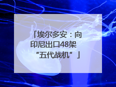 埃尔多安：向印尼出口48架“五代战机”