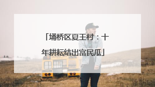 埇桥区夏王村：十年耕耘结出富民瓜