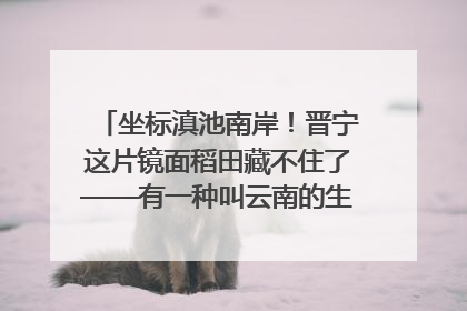 坐标滇池南岸！晋宁这片镜面稻田藏不住了——有一种叫云南的生活之365天