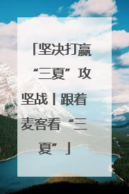 坚决打赢“三夏”攻坚战丨跟着麦客看“三夏”