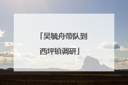 吴毓舟带队到西坪镇调研