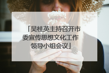 吴桂英主持召开市委宣传思想文化工作领导小组会议