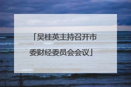 吴桂英主持召开市委财经委员会会议