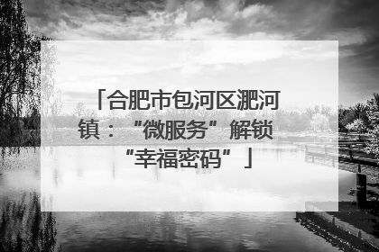 合肥市包河区淝河镇：“微服务”解锁“幸福密码”