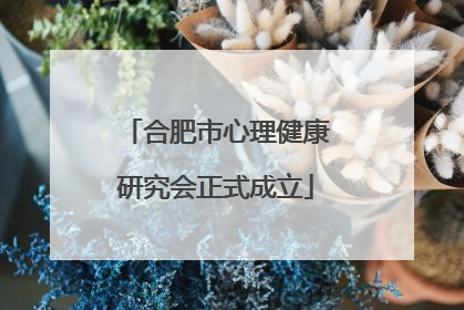 合肥市心理健康研究会正式成立