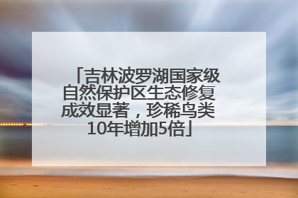 吉林波罗湖国家级自然保护区生态修复成效显著，珍稀鸟类10年增加5倍