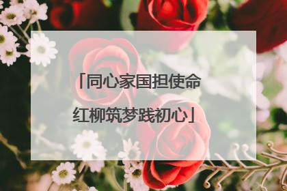 同心家国担使命 红柳筑梦践初心
