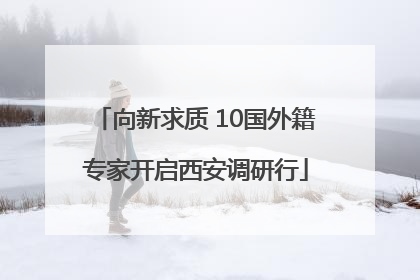 向新求质 10国外籍专家开启西安调研行