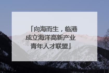 向海而生，临港成立海洋高新产业青年人才联盟