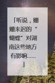 听说，姗姗来迟的“蝴蝶”对湖南这些地方有影响……