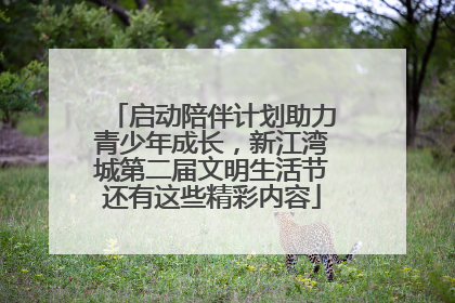 启动陪伴计划助力青少年成长，新江湾城第二届文明生活节还有这些精彩内容