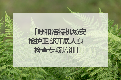 呼和浩特机场安检护卫部开展人身检查专项培训