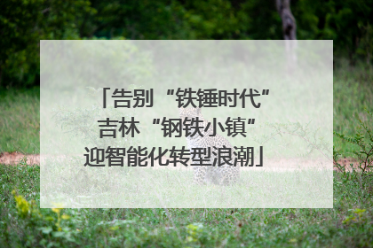 告别“铁锤时代” 吉林“钢铁小镇”迎智能化转型浪潮