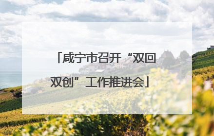 咸宁市召开“双回双创”工作推进会
