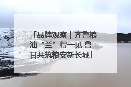品牌观察｜齐鲁粮油“兰”得一见 鲁甘共筑粮安新长城