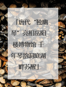 唐代“独幽琴”亮相岳阳楼博物馆 千年琴韵洞庭湖畔苏醒