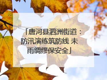 唐河县泗洲街道：防汛演练筑防线 未雨绸缪保安全