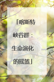 喀斯特峡谷群：生命演化的摇篮