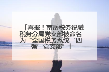 喜报！南岳税务祝融税务分局党支部被命名为“全国税务系统‘四强’党支部”
