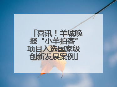喜讯！羊城晚报“小羊拍客”项目入选国家级创新发展案例