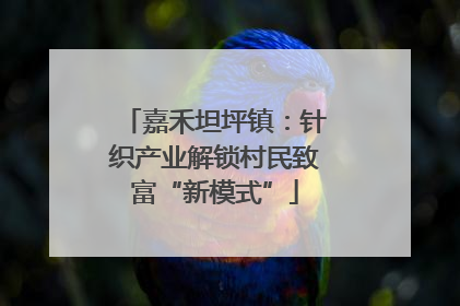 嘉禾坦坪镇：针织产业解锁村民致富“新模式”