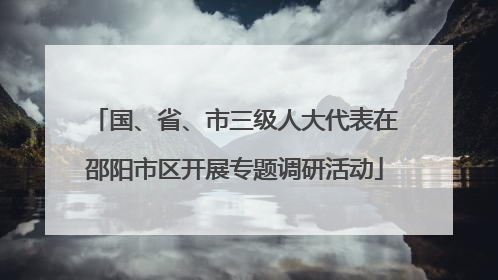 国、省、市三级人大代表在邵阳市区开展专题调研活动