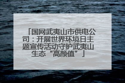 国网武夷山市供电公司：开展世界环境日主题宣传活动守护武夷山生态“高颜值”