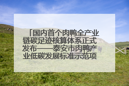 国内首个肉鸭全产业链碳足迹核算体系正式发布——泰安市肉鸭产业低碳发展标准示范项目顺利通过验收