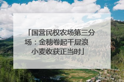 国营民权农场第三分场：金穗卷起千层浪 小麦收获正当时