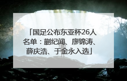 国足公布东亚杯26人名单：蒯纪闻、廖锦涛、薛庆浩、于金永入选