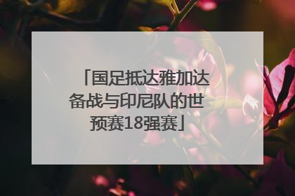 国足抵达雅加达备战与印尼队的世预赛18强赛