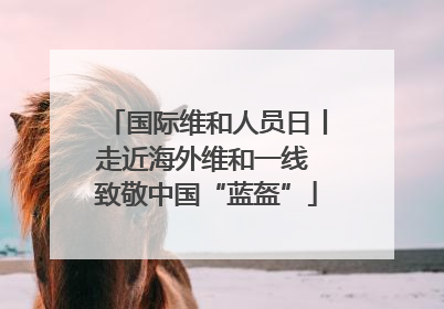 国际维和人员日丨走近海外维和一线 致敬中国“蓝盔”