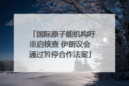 国际原子能机构吁重启核查 伊朗议会通过暂停合作法案