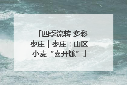 四季流转 多彩枣庄｜枣庄：山区小麦“喜开镰”