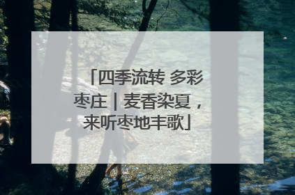 四季流转 多彩枣庄｜麦香染夏，来听枣地丰歌