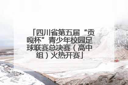 四川省第五届“贡嘎杯”青少年校园足球联赛总决赛（高中组）火热开赛