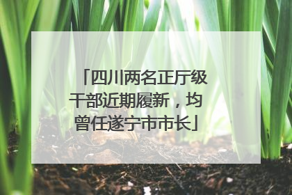 四川两名正厅级干部近期履新，均曾任遂宁市市长