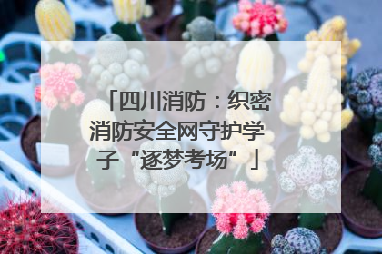 四川消防：织密消防安全网守护学子“逐梦考场”