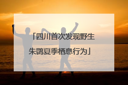 四川首次发现野生朱鹮夏季栖息行为
