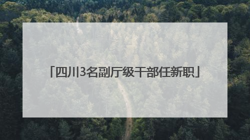 四川3名副厅级干部任新职